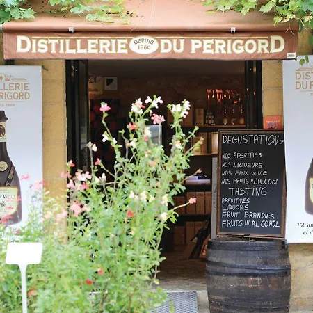 Dom wakacyjny Holiday Cacavon Salignac Eyvigues